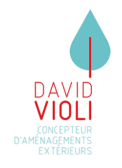 Logo David