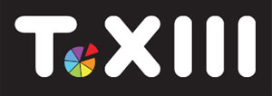 Logo T13